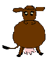 Brown_cow