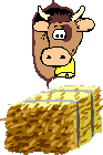 Cow_and_hay