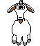 Goat_ears