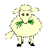 Sheep_chews