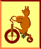 Bear_on_bike