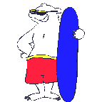 Polar_bear_surfs