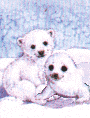 Polar_bears_2