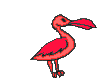 Bird_red