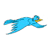 Blue_bird_3
