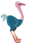 Ostrich_3