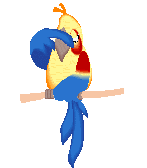 Parrot_on_stick