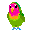 Small_parrot_2