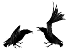 Two_crows