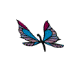 Butterfly_5