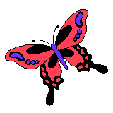 Butterfly_6