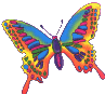 Neon_butterfly