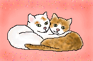 2_cats