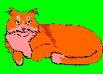 orange_cat