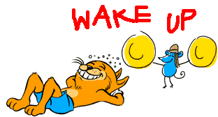 wake_up