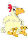Confused_chicken