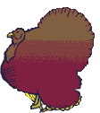 plump_turkey