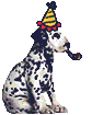 Birthday_dalmatian