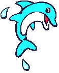 Dolphin_flips