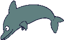 Grey_dolphin