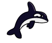 Killer_whale