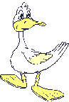 Bored_duck