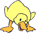 Duck_bends
