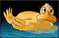Duck_in_water
