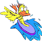 Duck_surfs