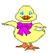 Ducky_flaps