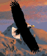 Eagle_in_mountains