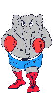 Elephant_boxer