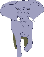 Elephant_walks