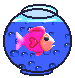 Fishbowl_2