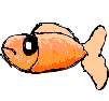 Goldfish_3