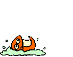 Goldfish_jumps_2