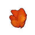 Orange_fish