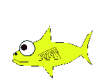 Yellow_fish_2