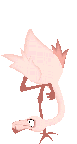 Flamingo_2
