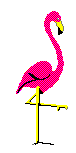 Pink_flamingo_turns