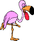 Tired_flamingo