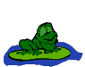 Frog_on_leaf