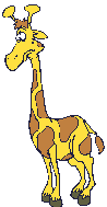 Giraffe_2