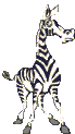Zebra_stands