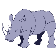 Hippos and Rhinos animations, Animals