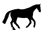 Black_horse_2