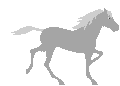 Grey_horse