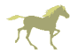 Grey_horse_2