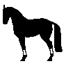 black_horse