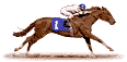 horse_races